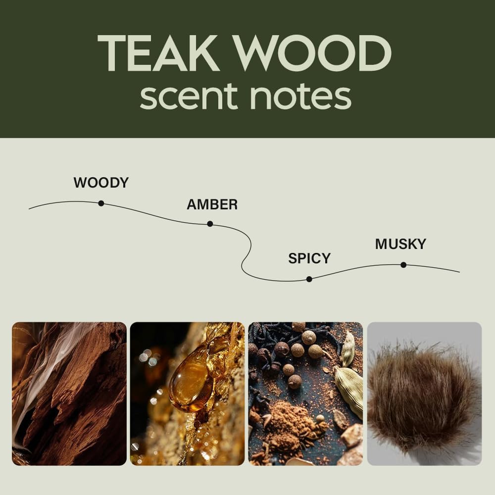 Hanging Car Air Freshener Essential Oil 2 Pack 8ml - Teak Wood